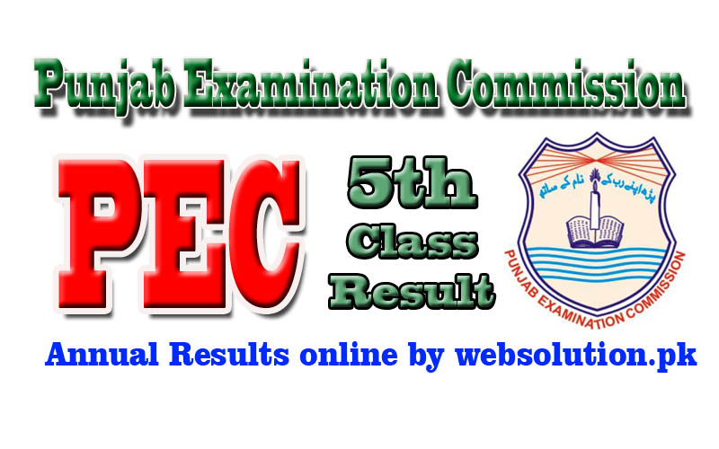 PEC Punjab Examination Commission Results