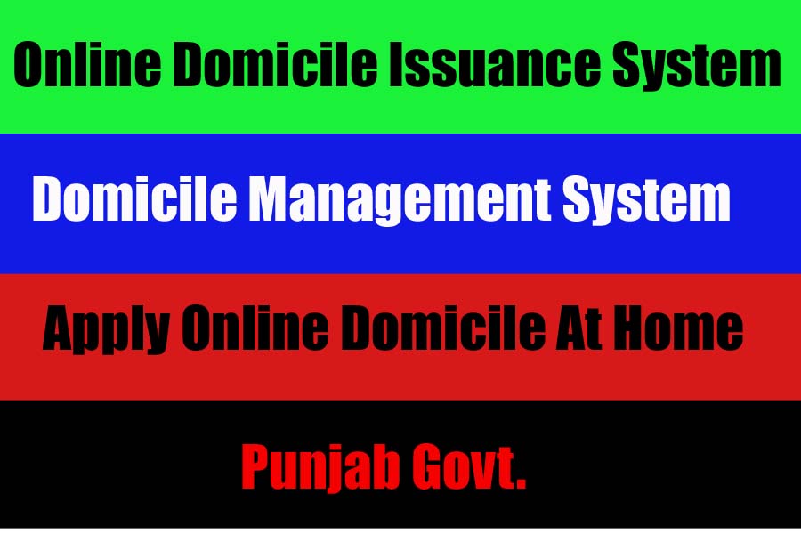 Punjab Govt domicile online system