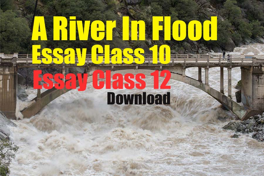 A River in Flood essay